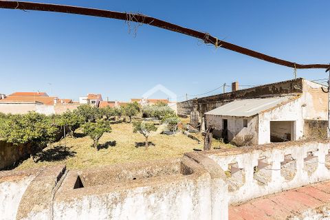 Villa a Amareleja, Beja, Amareleja - € 199.000 | Ref: 318/M/03812 - foto 31