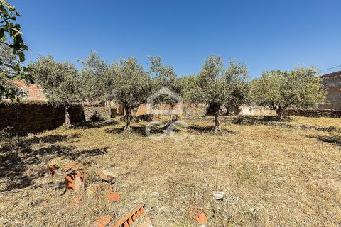 Villa a Amareleja, Beja, Amareleja - € 199.000 | Ref: 318/M/03812 - foto 38