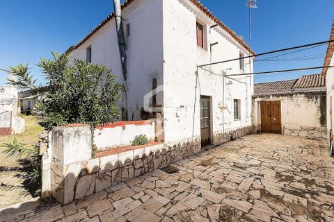 Villa a Amareleja, Beja, Amareleja - € 199.000 | Ref: 318/M/03812 - foto 41