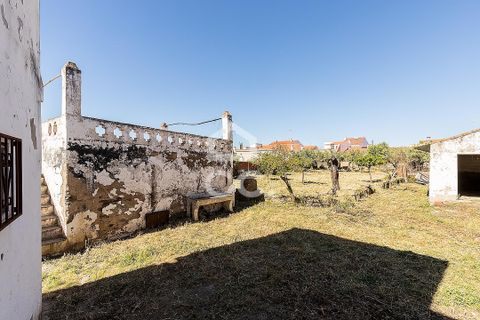 Villa a Amareleja, Beja, Amareleja - € 199.000 | Ref: 318/M/03812 - foto 45