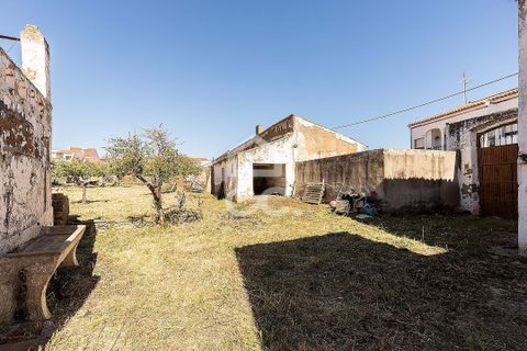 Villa a Amareleja, Beja, Amareleja - € 199.000 | Ref: 318/M/03812 - foto 47
