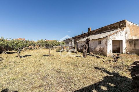 Villa a Amareleja, Beja, Amareleja - € 199.000 | Ref: 318/M/03812 - foto 48