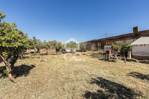Villa a Amareleja, Beja, Amareleja - € 199.000 | Ref: 318/M/03812 - foto 49
