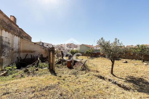Villa a Amareleja, Beja, Amareleja - € 199.000 | Ref: 318/M/03812 - foto 50