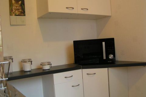 1-Zimmerwohnung in Nancy, Meurthe-et-Moselle, Nancy - € 545/Monat | Ref: 239373 - Foto 2