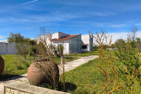 Gård i Evora, Evora, Evora - € 750 000 | Ref: KWPT-030410 - foto 41