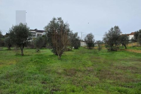 Terra a Mouriscas, Santarem, Mouriscas - € 35.000 | Ref: KWPT-031394 - foto 2