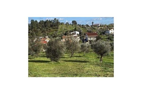 Terra a Mouriscas, Santarem, Mouriscas - € 35.000 | Ref: KWPT-031394 - foto 3
