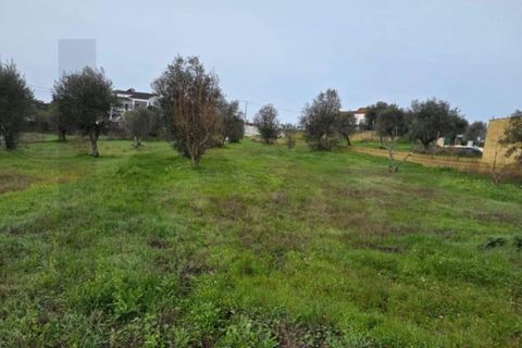 Terra a Mouriscas, Santarem, Mouriscas - € 35.000 | Ref: KWPT-031394 - foto 4