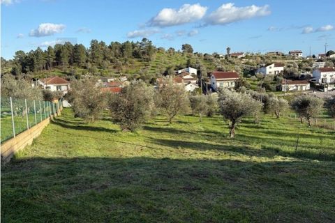Terra a Mouriscas, Santarem, Mouriscas - € 35.000 | Ref: KWPT-031394 - foto 5