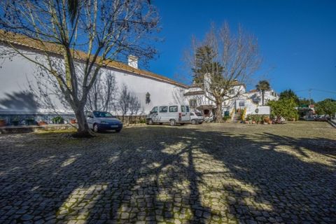 Farm i Mafra, Lisbon, Mafra - € 2.500.000 | Ref: KWPT-031459 - foto 31