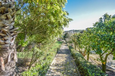 Farm i Mafra, Lisbon, Mafra - € 2.500.000 | Ref: KWPT-031459 - foto 37