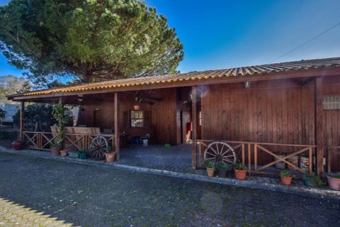 Farm i Mafra, Lisbon, Mafra - € 2.500.000 | Ref: KWPT-031459 - foto 41