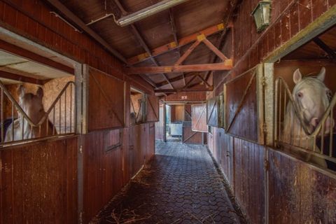 Farm i Mafra, Lisbon, Mafra - € 2.500.000 | Ref: KWPT-031459 - foto 42