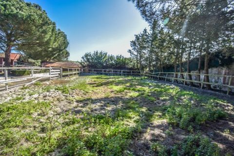 Farm i Mafra, Lisbon, Mafra - € 2.500.000 | Ref: KWPT-031459 - foto 44