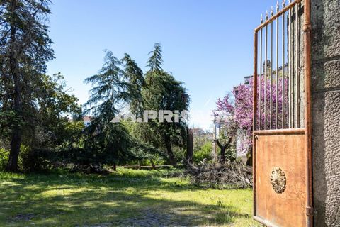 Byhus i Idanha-a-Nova, Castelo Branco, Idanha-a-Nova - € 375.000 | Ref: PP4734 - foto 6