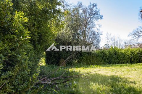 Byhus i Idanha-a-Nova, Castelo Branco, Idanha-a-Nova - € 375.000 | Ref: PP4734 - foto 10