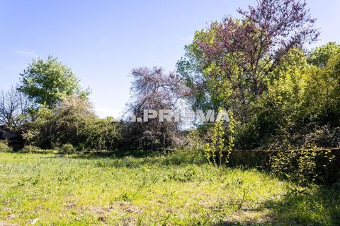 Byhus i Idanha-a-Nova, Castelo Branco, Idanha-a-Nova - € 375.000 | Ref: PP4734 - foto 41