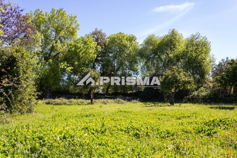Byhus i Idanha-a-Nova, Castelo Branco, Idanha-a-Nova - € 375.000 | Ref: PP4734 - foto 43
