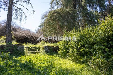 Byhus i Idanha-a-Nova, Castelo Branco, Idanha-a-Nova - € 375.000 | Ref: PP4734 - foto 44