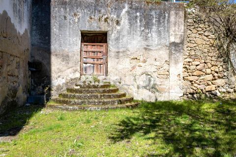 Byhus i Idanha-a-Nova, Castelo Branco, Idanha-a-Nova - € 375.000 | Ref: PP4734 - foto 49
