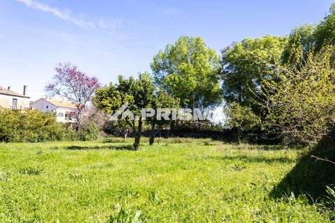 Byhus i Idanha-a-Nova, Castelo Branco, Idanha-a-Nova - € 375.000 | Ref: PP4734 - foto 46