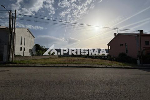 Helårsgrund i Castelo Branco, Castelo Branco, Castelo Branco - € 29.500 | Ref: PP4754 - foto 5