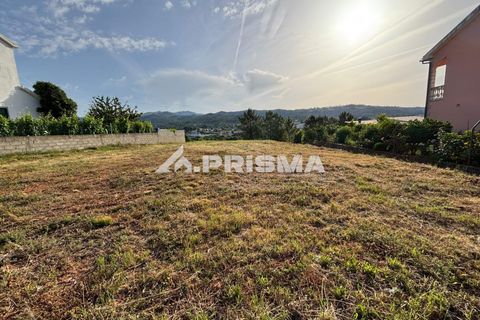 Helårsgrund i Castelo Branco, Castelo Branco, Castelo Branco - € 29.500 | Ref: PP4754 - foto 6