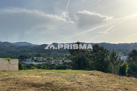 Helårsgrund i Castelo Branco, Castelo Branco, Castelo Branco - € 29.500 | Ref: PP4754 - foto 8