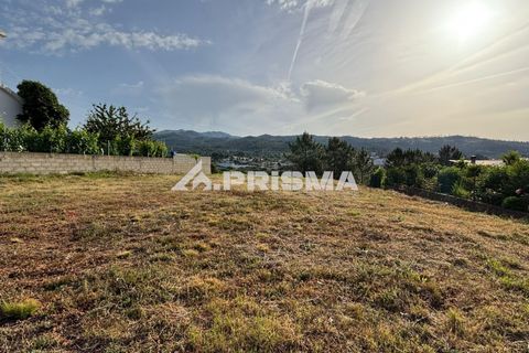 Helårsgrund i Castelo Branco, Castelo Branco, Castelo Branco - € 29.500 | Ref: PP4754 - foto 9