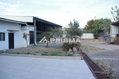 Byhus i Castelo Branco, Castelo Branco, Castelo Branco - € 299.000 | Ref: PP4633 - foto 22