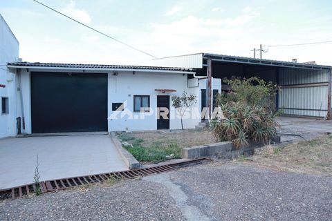 Byhus i Castelo Branco, Castelo Branco, Castelo Branco - € 299.000 | Ref: PP4633 - foto 23