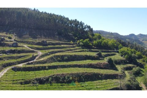 Villa i Cacarilhe e Infesta, Braga, Cacarilhe e Infesta - € 890.000 | Ref: AVV-021-038 - foto 41