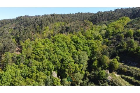 Villa i Cacarilhe e Infesta, Braga, Cacarilhe e Infesta - € 890.000 | Ref: AVV-021-038 - foto 42