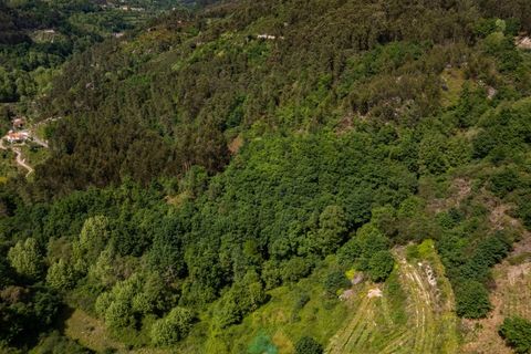 Villa i Cacarilhe e Infesta, Braga, Cacarilhe e Infesta - € 890.000 | Ref: AVV-021-038 - foto 49