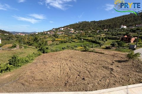 Villa a Serta, Castelo Branco, Serta - € 179.000 | Ref: VF332 - foto 41