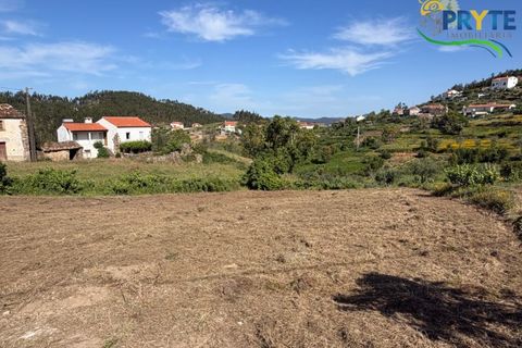 Villa a Serta, Castelo Branco, Serta - € 179.000 | Ref: VF332 - foto 43