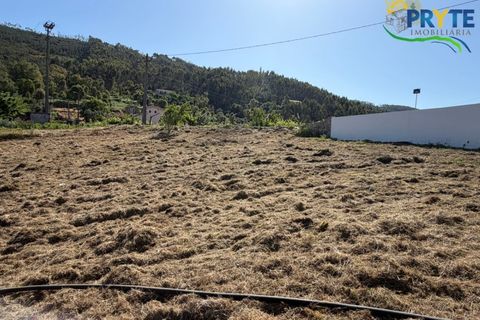 Villa a Serta, Castelo Branco, Serta - € 179.000 | Ref: VF332 - foto 44