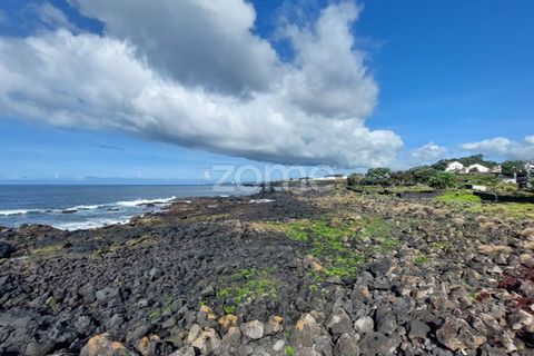 Helårsgrund i Lagoa, Sao Miguel, Lagoa - € 349.950 | Ref: ZMPT567027 - foto 11