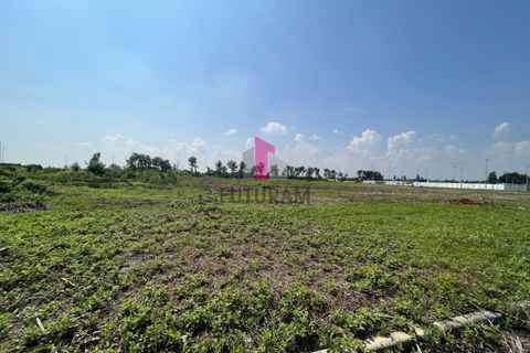 Terra a Limena, Padua, Limena - € 2.040.000 | Ref: 705MIC - foto 2
