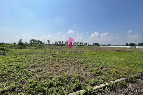 Terra a Limena, Padua, Limena - € 2.040.000 | Ref: 705MIC - foto 5