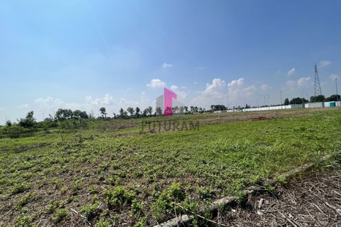 Terra a Limena, Padua, Limena - € 2.040.000 | Ref: 705MIC - foto 21