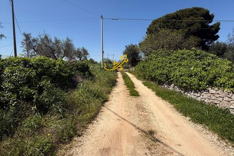 Landejendom i Polignano a Mare, Bari, Polignano a Mare - € 260.000 | Ref: R 557 - foto 3