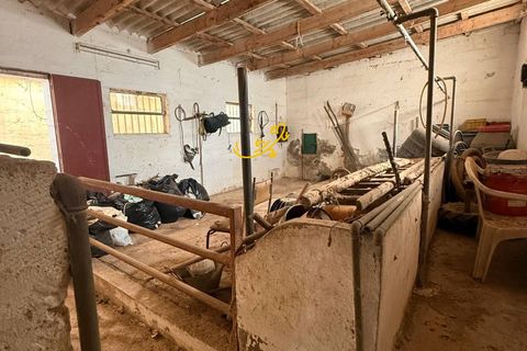 Landejendom i Polignano a Mare, Bari, Polignano a Mare - € 260.000 | Ref: R 557 - foto 11