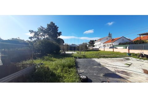 Helårsgrund i Quinta do Conde, Setubal, Quinta do Conde - € 140.000 | Ref: 10233 - foto 2