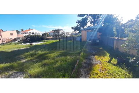 Helårsgrund i Quinta do Conde, Setubal, Quinta do Conde - € 140.000 | Ref: 10233 - foto 12