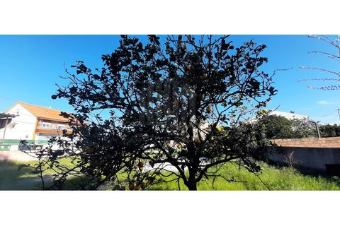 Helårsgrund i Quinta do Conde, Setubal, Quinta do Conde - € 140.000 | Ref: 10233 - foto 14