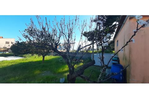 Helårsgrund i Quinta do Conde, Setubal, Quinta do Conde - € 140.000 | Ref: 10233 - foto 16