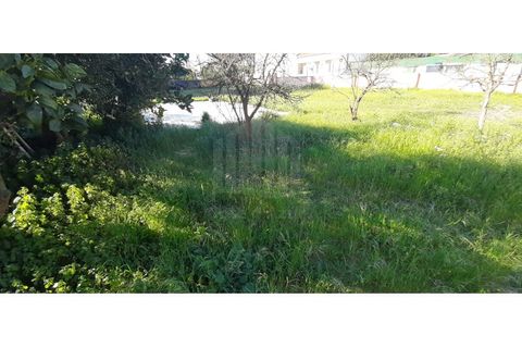 Helårsgrund i Quinta do Conde, Setubal, Quinta do Conde - € 140.000 | Ref: 10233 - foto 22