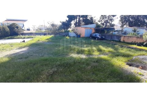 Helårsgrund i Quinta do Conde, Setubal, Quinta do Conde - € 140.000 | Ref: 10233 - foto 27